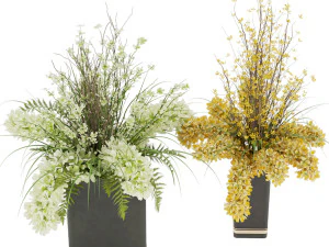 collection plant vol 56 3D Model