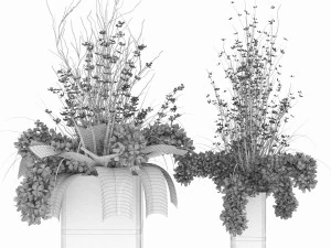 collection plant vol 56 3D Model