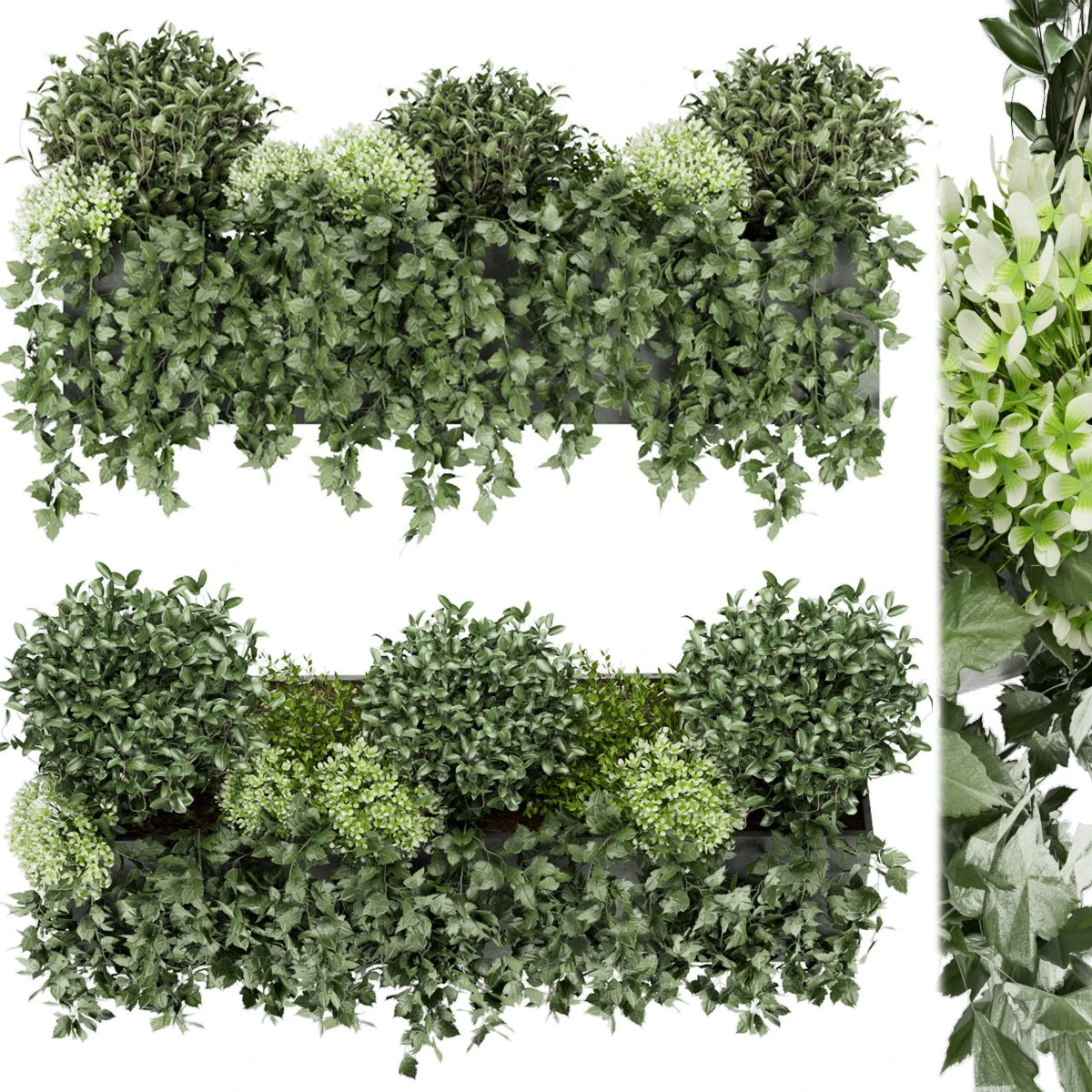 collection plant vol 57 3D Model .c4d .max .obj .3ds .fbx .stl .blend