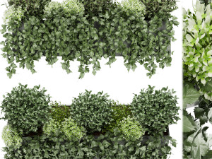 collection plant vol 57 3D 모델