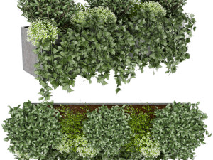 collection plant vol 57 Model 3D