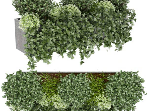 collection plant vol 57 3D Model