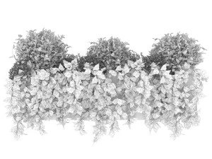 collection plant vol 57 3D Model