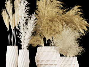 collection plant vol 59 3D Model