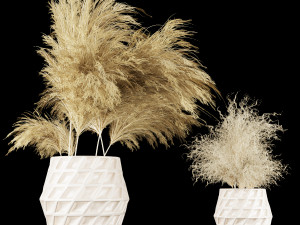 collection plant vol 59 Modelo 3D