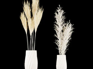 collection plant vol 59 3D Model