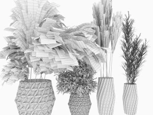 collection plant vol 59 3D Model
