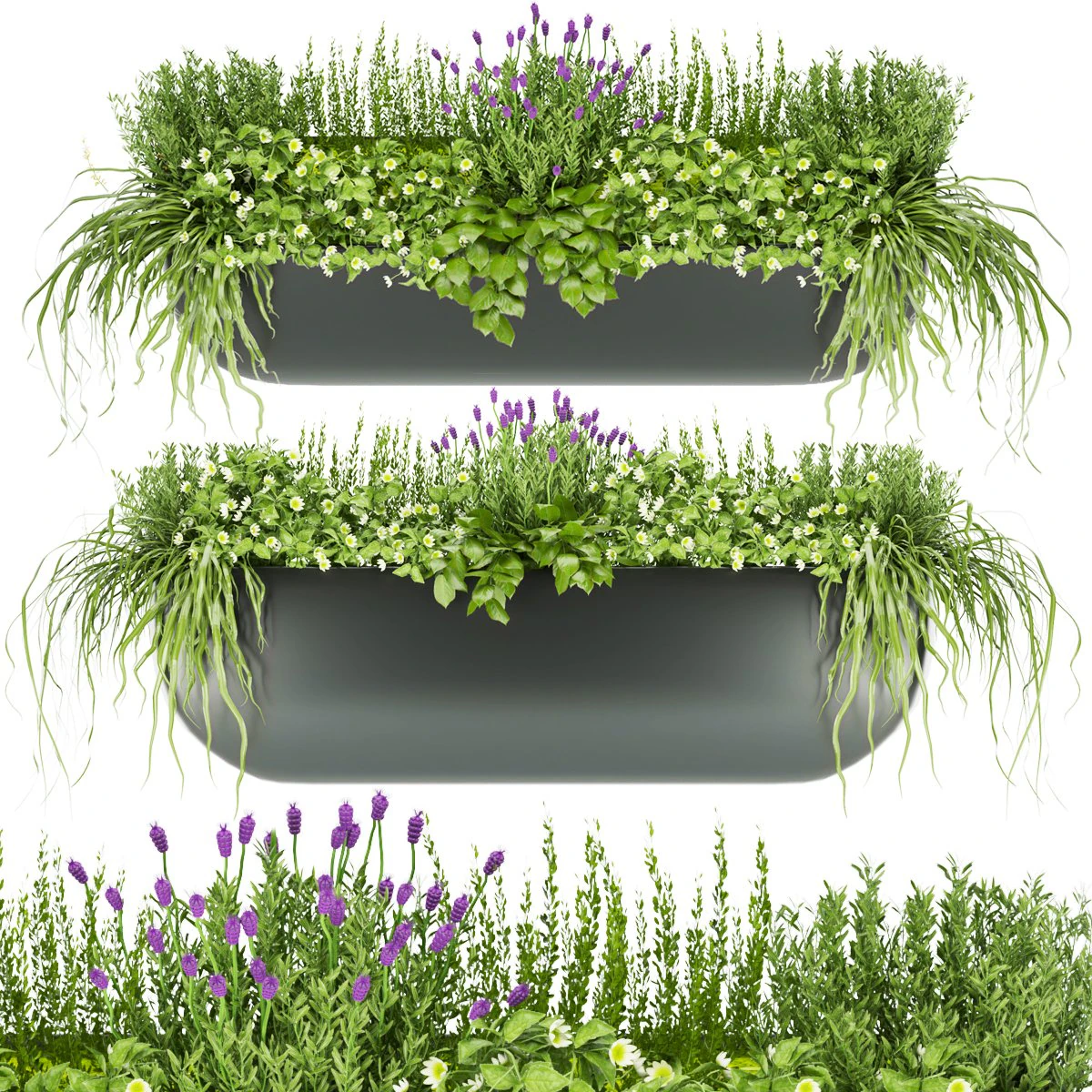collection plant vol 61 3D Model .c4d .max .obj .3ds .fbx .stl .blend 