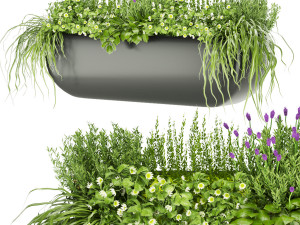 collection plant vol 61 3D 모델