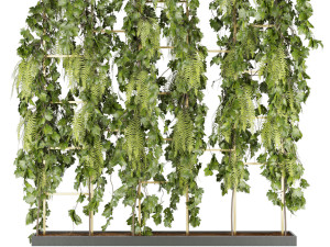 collection plant vol 62 3D Модель