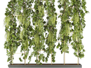 pianta di raccolta vol 62 Modello 3D