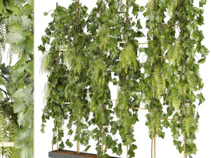 collection plant vol 62 3D Модель