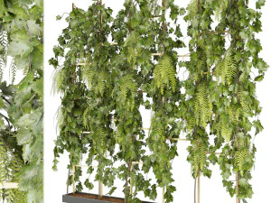 collection plant vol 62 3D Model