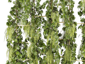 collection plant vol 62 3D Модель