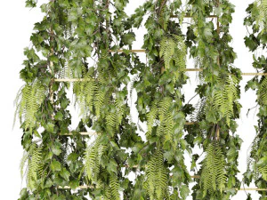 collection plant vol 62 3D Model