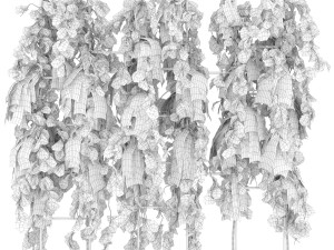 collection plant vol 62 3D Модель