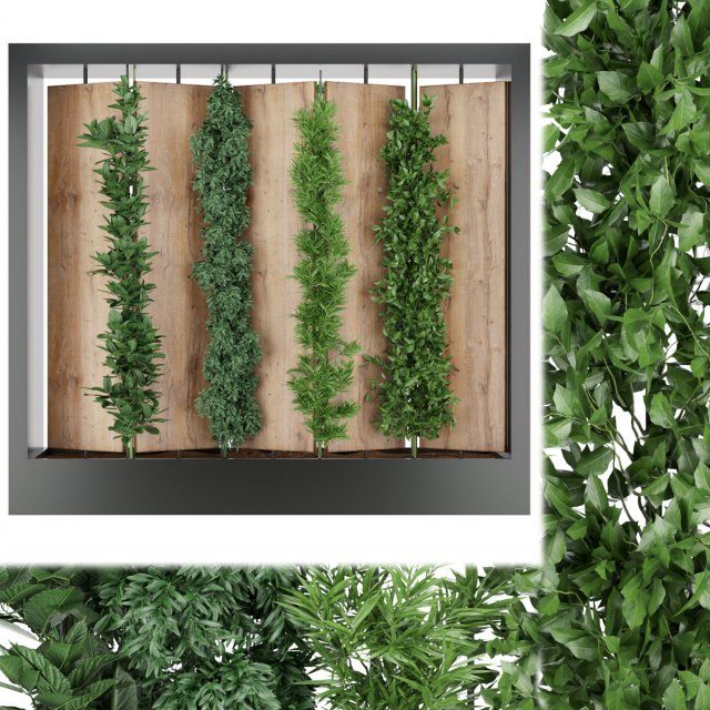 collection plant vol 63 3D Model .c4d .max .obj .3ds .fbx .stl .blend 