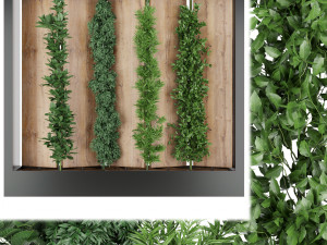 collection plant vol 63 3D Model