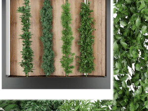 pianta di raccolta vol 63 Modello 3D