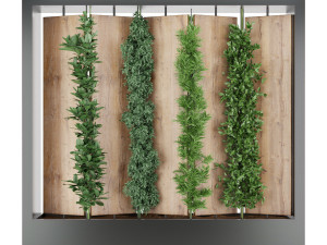 collection plant vol 63 3D Model