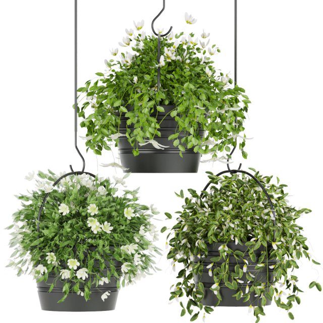 collection plant vol 66 3D Model .c4d .max .obj .3ds .fbx .stl .blend 