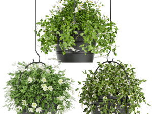 collection plant vol 66 3D Model
