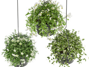 collection plant vol 66 3D Model