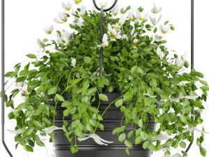 collection plant vol 66 3D Model