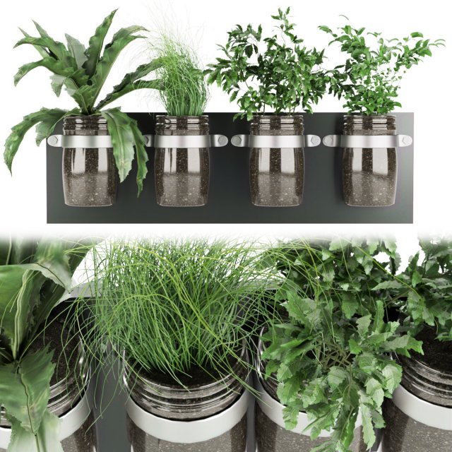 collection plant vol 67 Modelo 3D .c4d .max .obj .3ds .fbx .stl .blend 