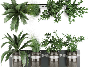 collection plant vol 67 Modelo 3D