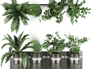 collection plant vol 67 3D Model