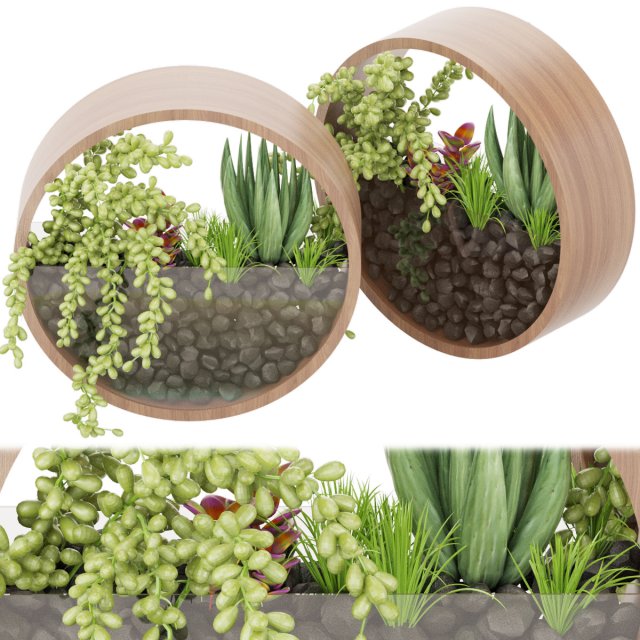 collection plant vol 69 3D Model .c4d .max .obj .3ds .fbx .stl .blend