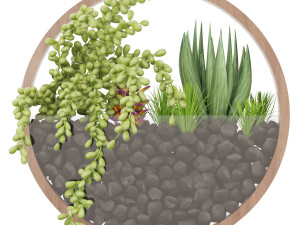 collection plant vol 69 3D Model