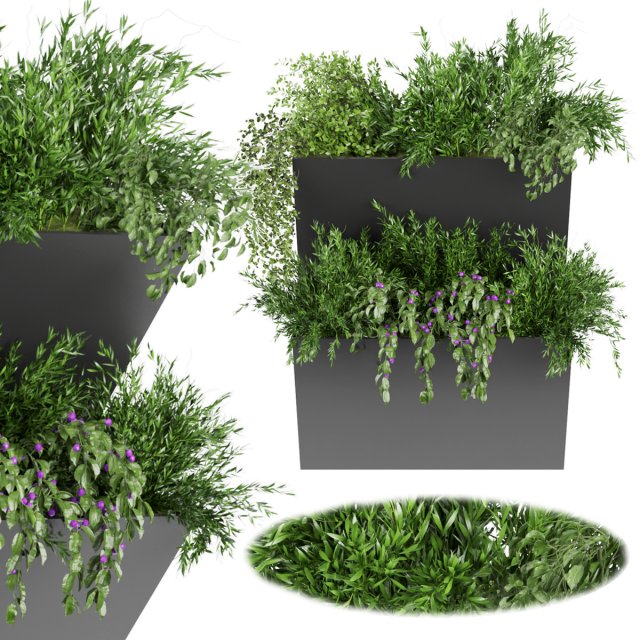 collection plant vol 70 Model 3D .c4d .max .obj .3ds .fbx .stl .blend