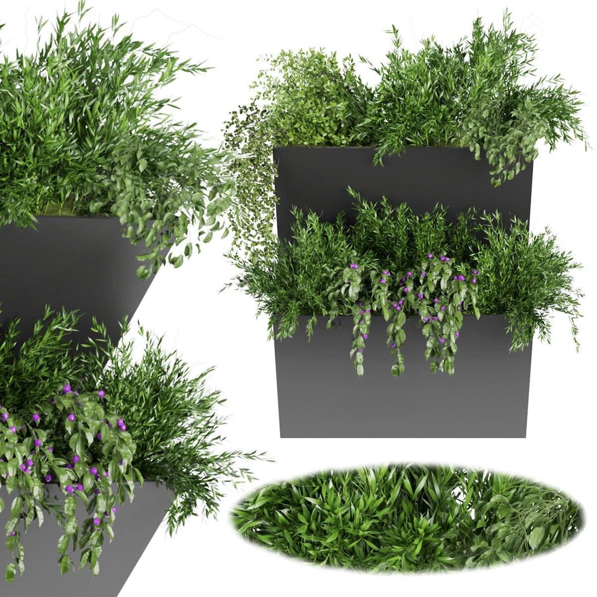 collection plant vol 70 3D Model .c4d .max .obj .3ds .fbx .stl .blend