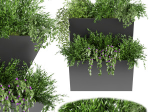 collection plant vol 70 Modèle 3D