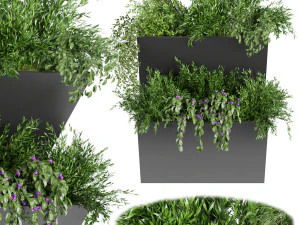 planta de coleta vol 70 Modelo 3D