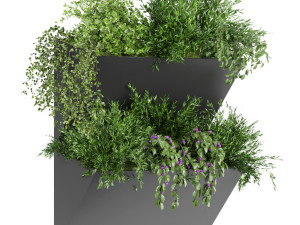 collection plant vol 70 Model 3D