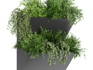 collection plant vol 70 3D Model