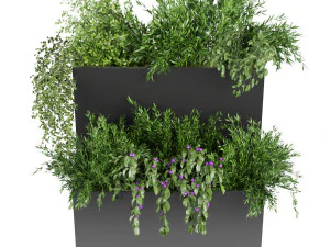 collection plant vol 70 3D Model