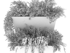collection plant vol 70 Model 3D