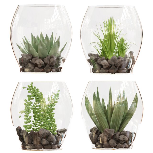 collection plant vol 71 3D 模型 .c4d .max .obj .3ds .fbx .stl .blend 