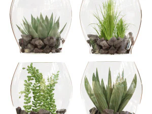 planta de coleta vol 71 Modelo 3D