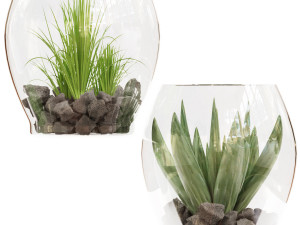 collection plant vol 71 3D 模型