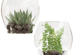 planta de coleta vol 71 Modelo 3D