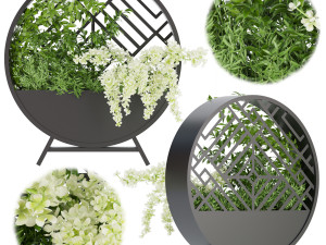 collection plant vol 72 3D 模型