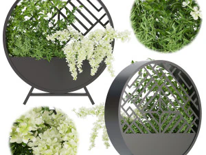 collection plant vol 72 3D Model