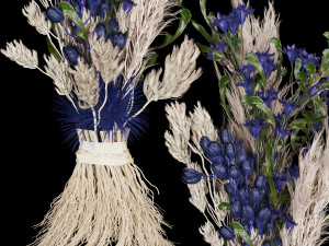 collection plant vol 74 3D Модель