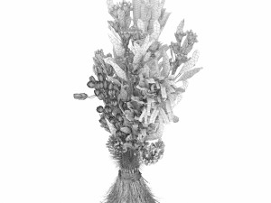 collection plant vol 74 3D Модель