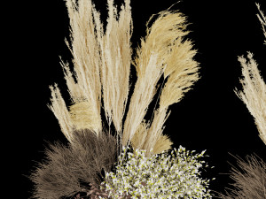 collection plant vol 77 3D Model